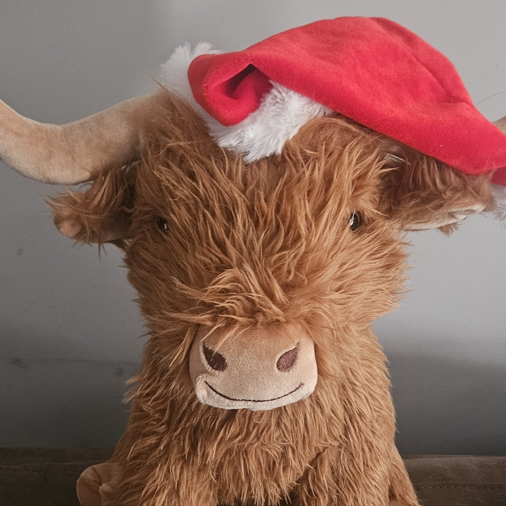 🎄Highland Cow with Santa Hat